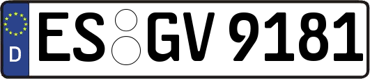 ES-GV9181