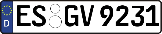 ES-GV9231