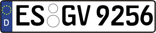 ES-GV9256