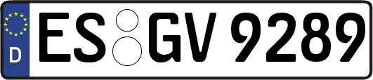 ES-GV9289