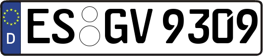 ES-GV9309