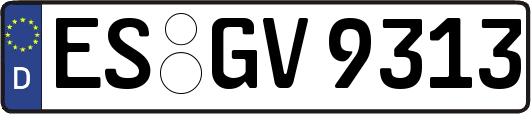 ES-GV9313