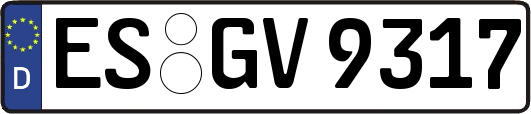 ES-GV9317