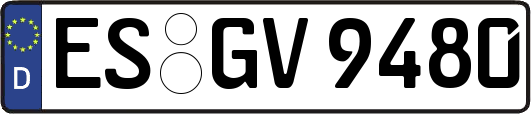 ES-GV9480