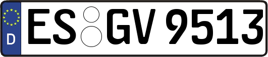 ES-GV9513