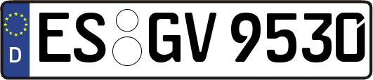 ES-GV9530