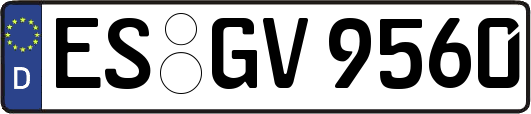ES-GV9560