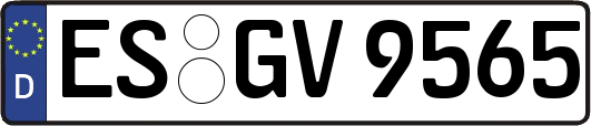ES-GV9565