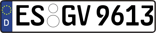 ES-GV9613