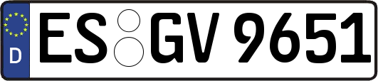 ES-GV9651