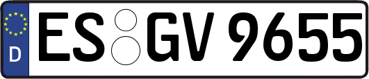 ES-GV9655
