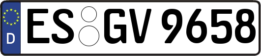 ES-GV9658