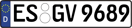ES-GV9689
