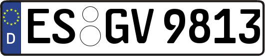 ES-GV9813