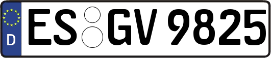 ES-GV9825