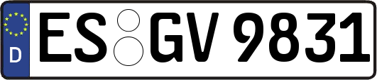 ES-GV9831