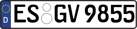 ES-GV9855