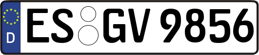 ES-GV9856