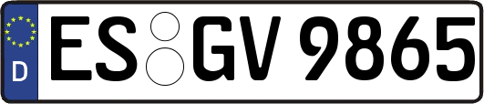 ES-GV9865