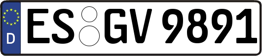 ES-GV9891