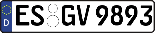 ES-GV9893