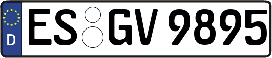 ES-GV9895