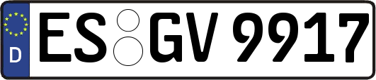 ES-GV9917
