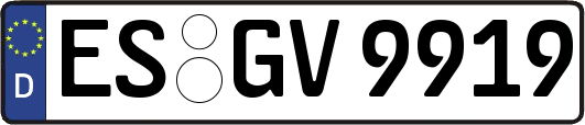 ES-GV9919