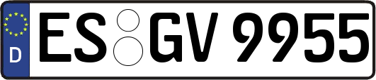 ES-GV9955