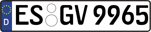 ES-GV9965