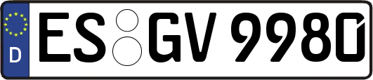 ES-GV9980