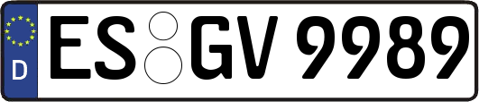 ES-GV9989