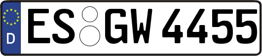 ES-GW4455