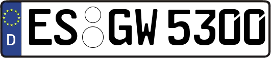 ES-GW5300