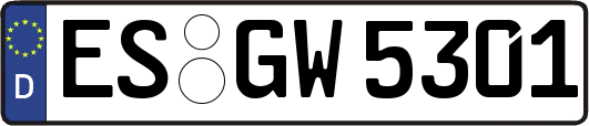 ES-GW5301