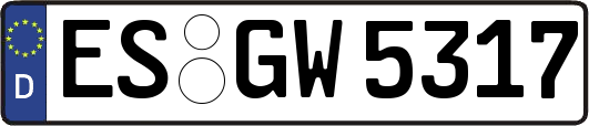 ES-GW5317