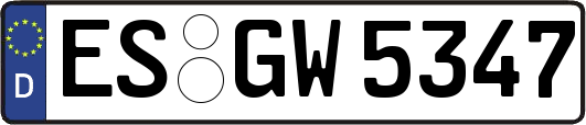 ES-GW5347