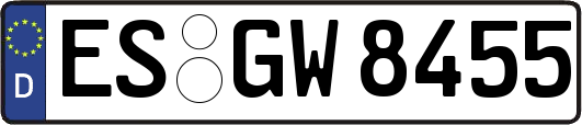 ES-GW8455