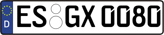 ES-GX0080
