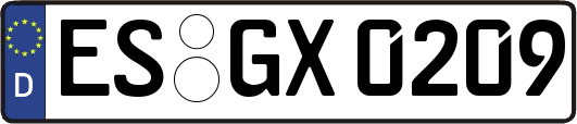 ES-GX0209