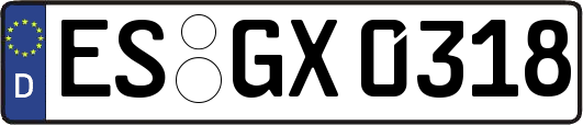 ES-GX0318