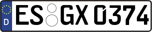 ES-GX0374