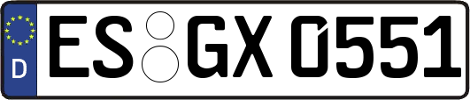 ES-GX0551