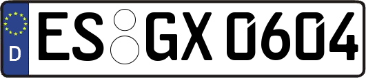 ES-GX0604