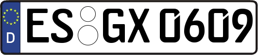 ES-GX0609