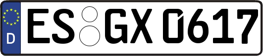 ES-GX0617