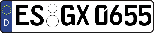 ES-GX0655