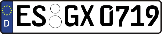 ES-GX0719