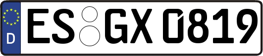 ES-GX0819