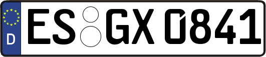 ES-GX0841